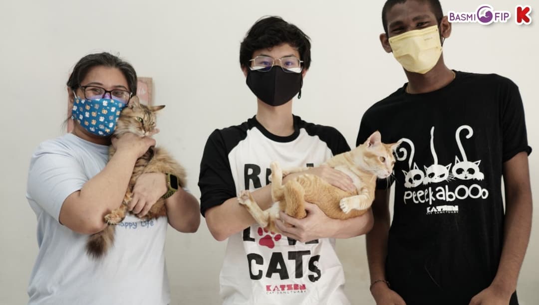 Fundraising for Katzen Cat Sanctuary