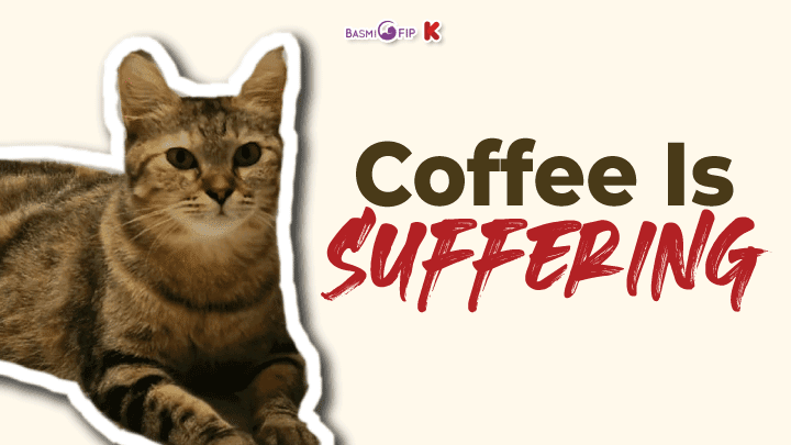 Save Coffee By Helping Her FIP Treatment 