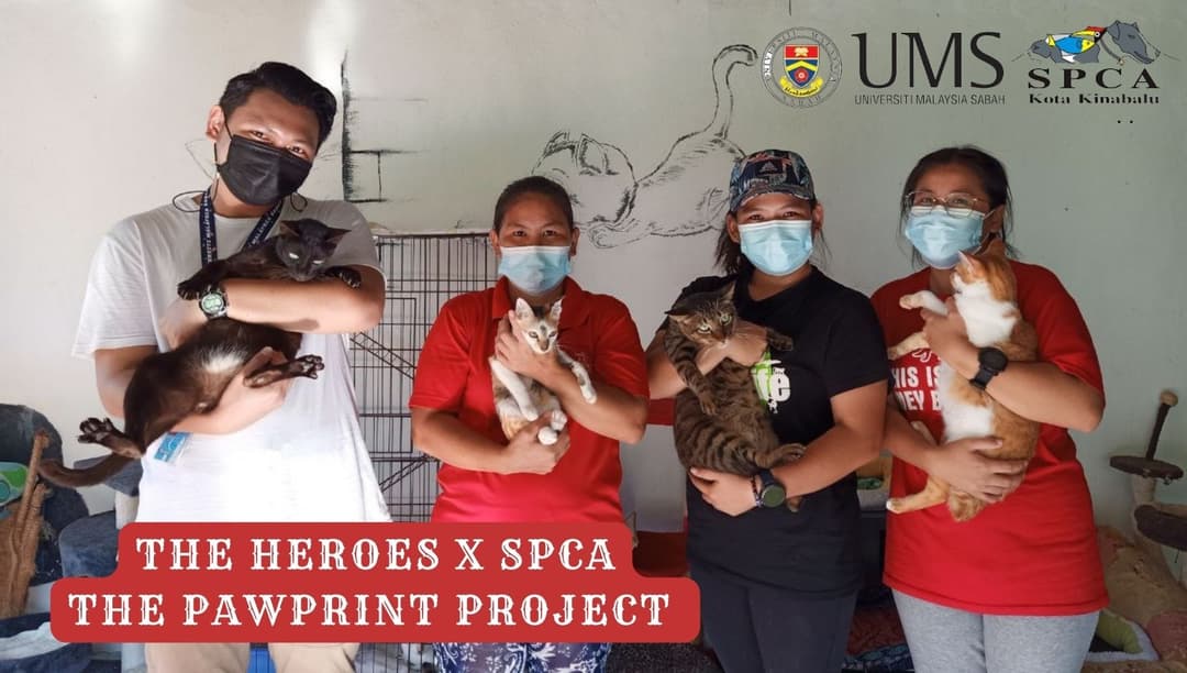 The Pawprint Project
