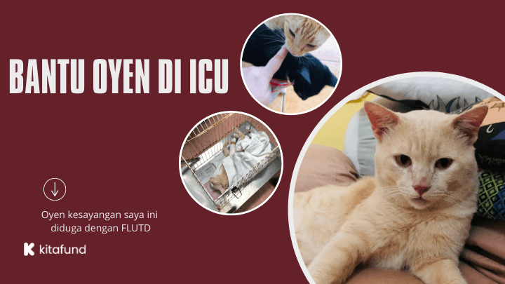 Bantu Perubatan Oyen